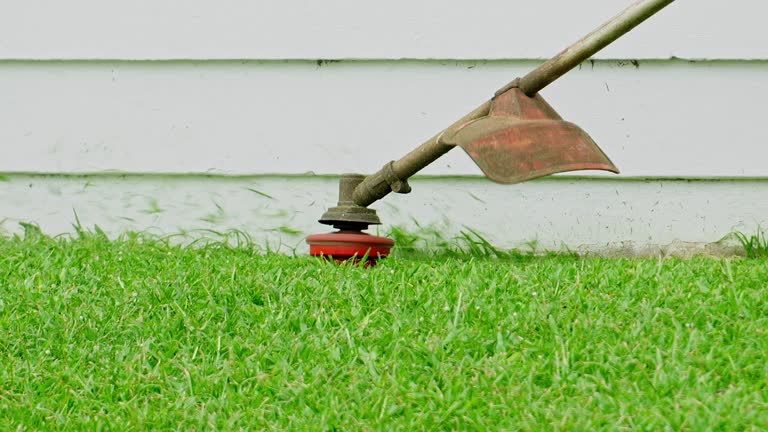 Best Lawn Dethatching  in Kaanapali, HI